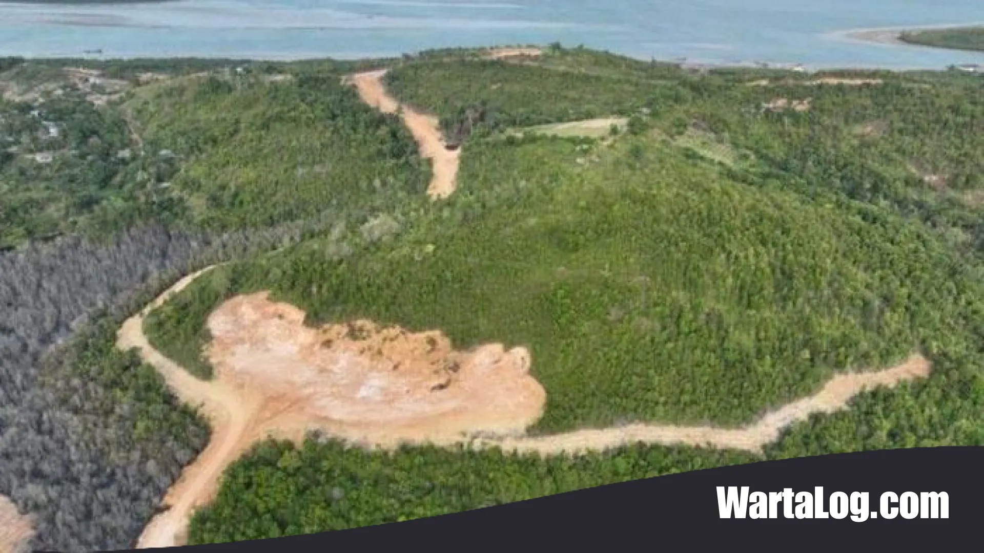 Skandal Perambahan Hutan Lindung Batam: PT GTP Resmi Ditetapkan Tersangka, Terancam Bui 10 Tahun