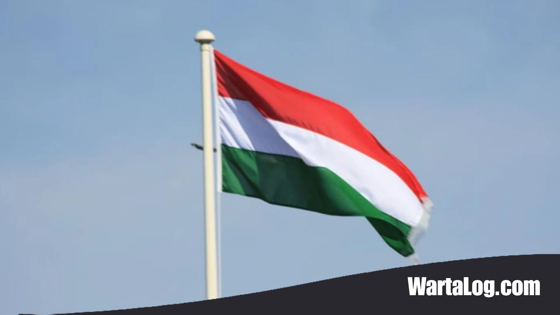 Krisis Energi di Balik Gelombang Panas Eropa: Mengapa Hungaria Terpaksa Mematikan Reaktor Nuklir Paks?