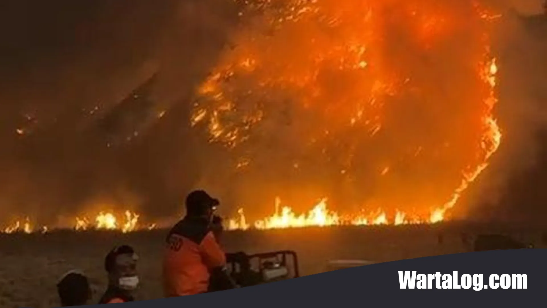 Gunung Bromo Membara: Kawasan Wisata Ditutup Total Akibat Kebakaran Hutan yang Kian Meluas