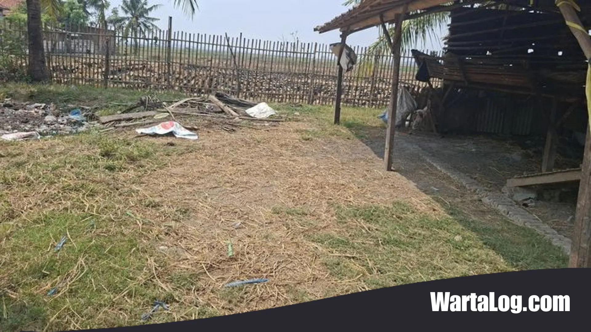 Tragedi Berdarah di Kampung Setu: Misteri Pembantaian 36 Kambing yang Menggegerkan Serang