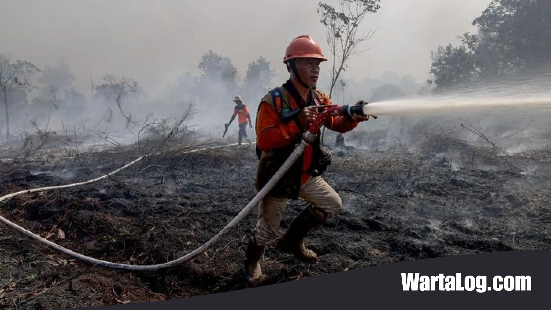 Langit Sarawak Mencekam, Kiriman Asap Karhutla Kalimantan Jadi Sorotan Internasional