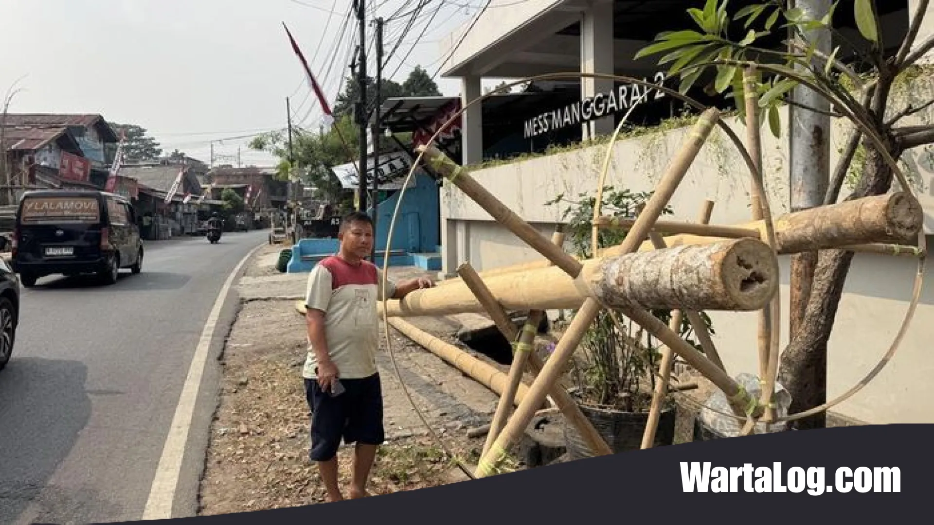 Geliat Pedagang Pohon Pinang di Manggarai: Menjemput Berkah di Balik Tradisi Perayaan HUT RI ke-81