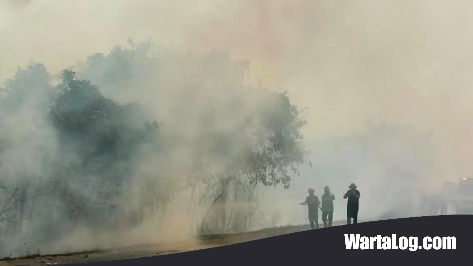 Strategi Langit Hadapi Karhutla: Kemenhub Kerahkan Pesawat Asing untuk Penjinakan Api di Kalimantan