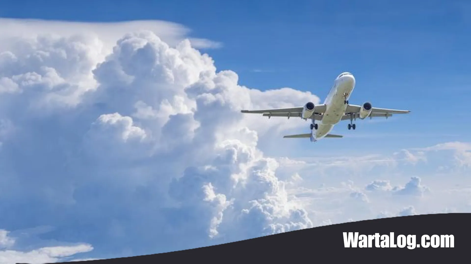 Tragis, Dua Pekerja Bandara Frankfurt Meninggal Akibat ‘Malaria Bandara’ dari Nyamuk Pesawat