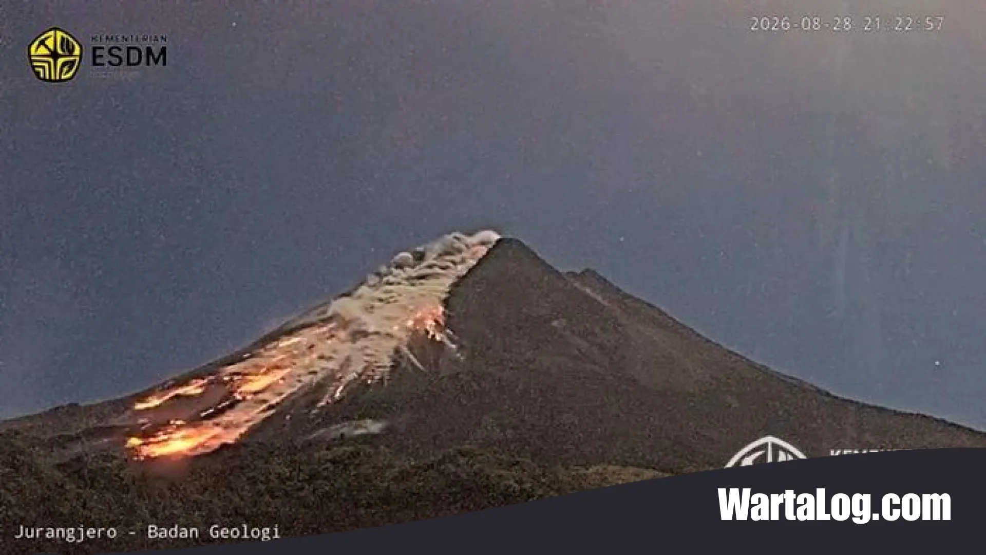 Awan Panas Merapi Picu Kebakaran di Kawasan Taman Nasional, Bagaimana Kondisinya Sekarang?