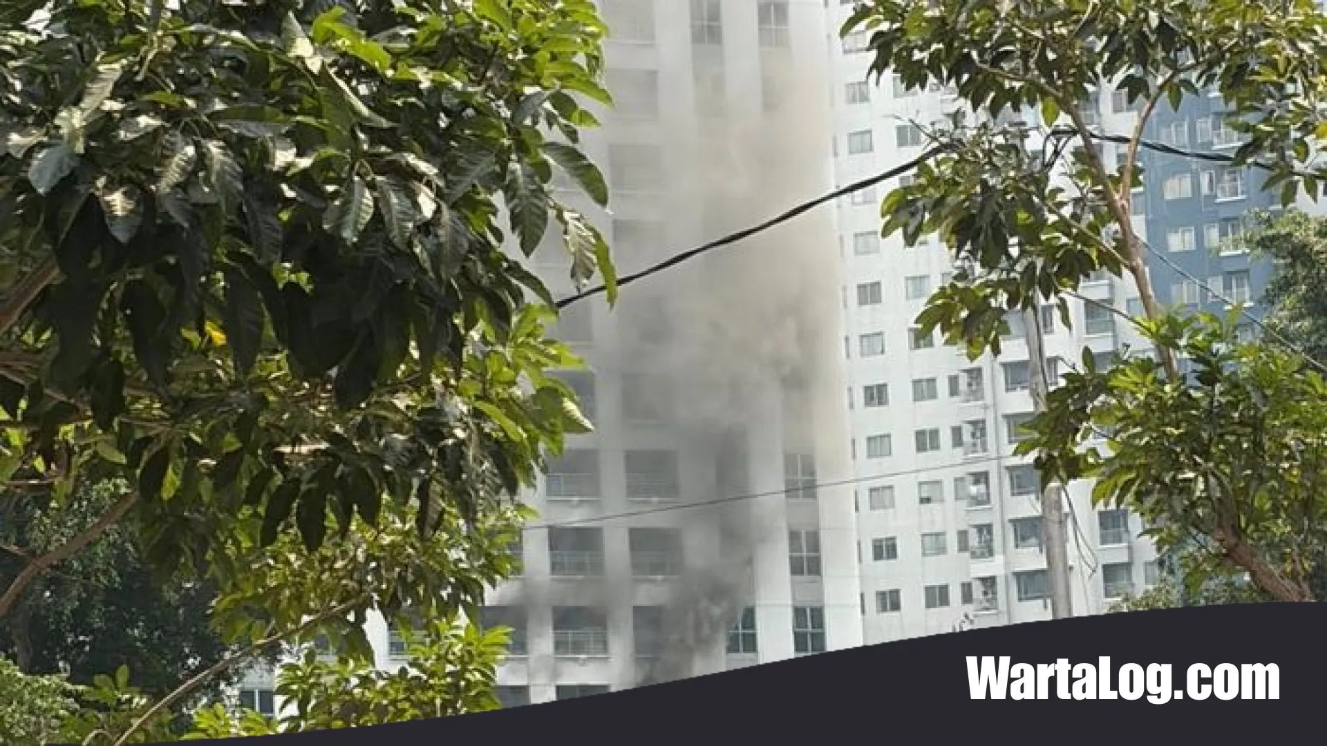 Kebakaran Apartemen di Tanah Abang: Aksi Heroik Damkar Evakuasi 14 Penghuni dari Kepungan Asap