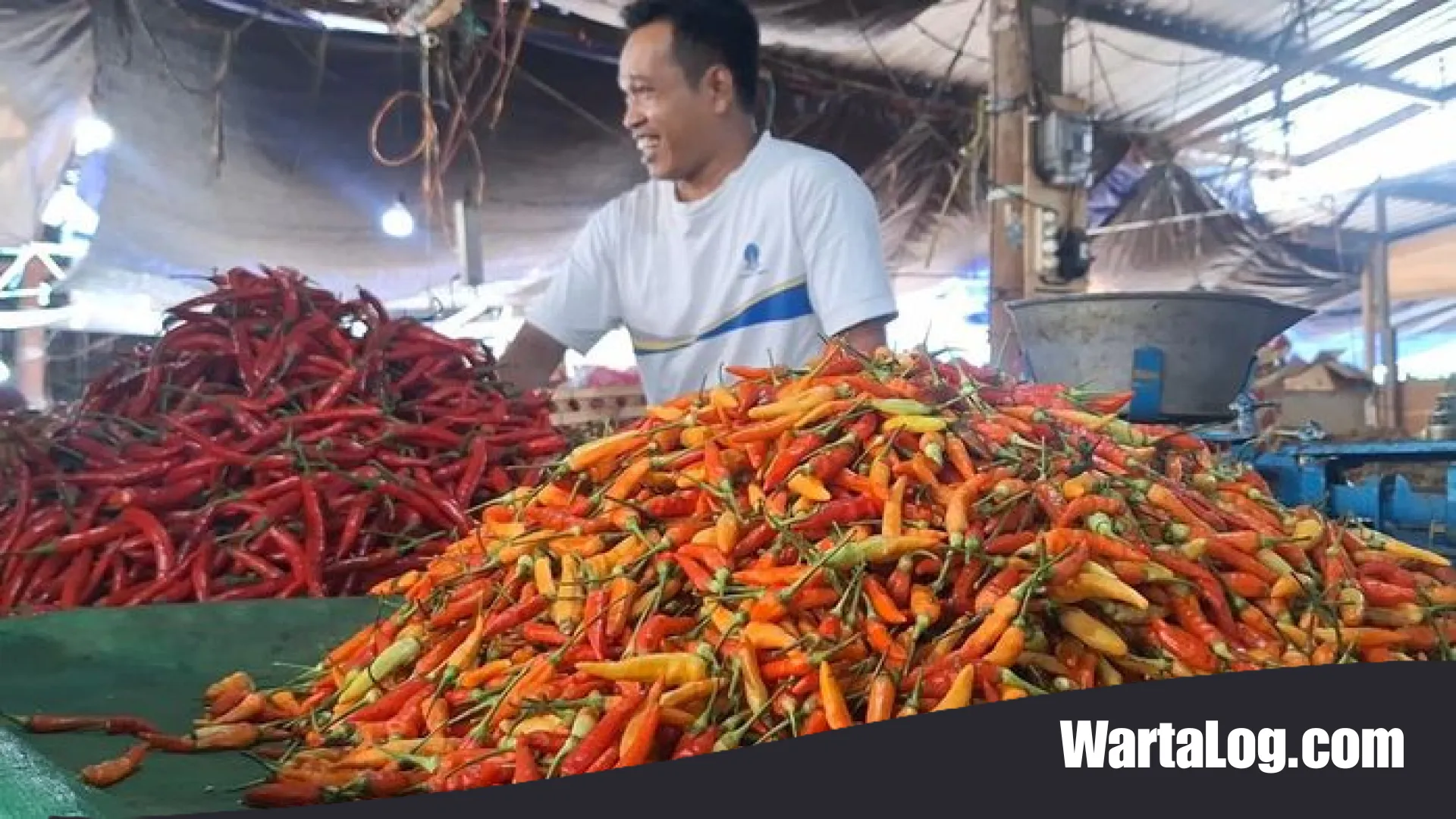 Harga Cabai Kian ‘Pedas’ Menyengat Kantong, Rawit Merah Nyaris Tembus Rp 100 Ribu per Kilogram