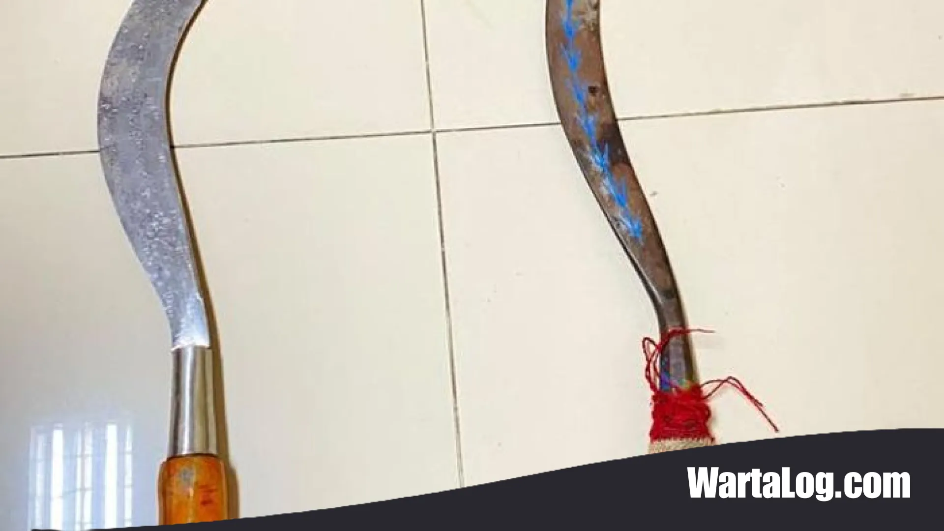 Jejak Berdarah di Cikunir: Polisi Bekasi Gulung Komplotan Tawuran Media Sosial, 8 Pelaku Diamankan