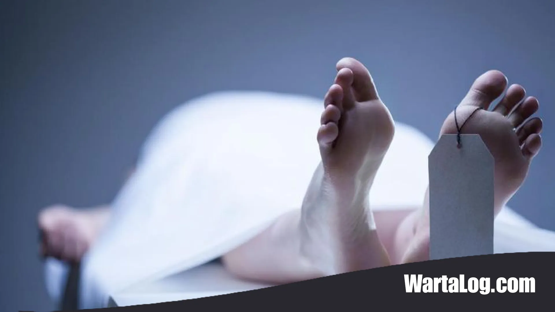 Tragedi Berdarah di Pakistan Utara: Bom Bunuh Diri Hantam Pos Keamanan, Belasan Korban Jiwa Berjatuhan