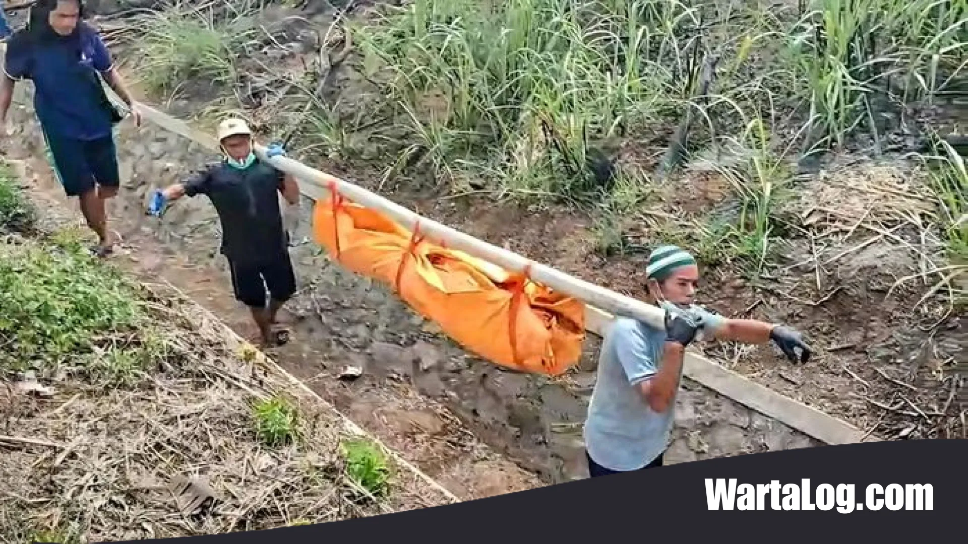 Misteri Temuan Mayat Terbungkus Plastik di Kolong Tol Bocimi: Jejak Kejahatan di Ciambar Sukabumi