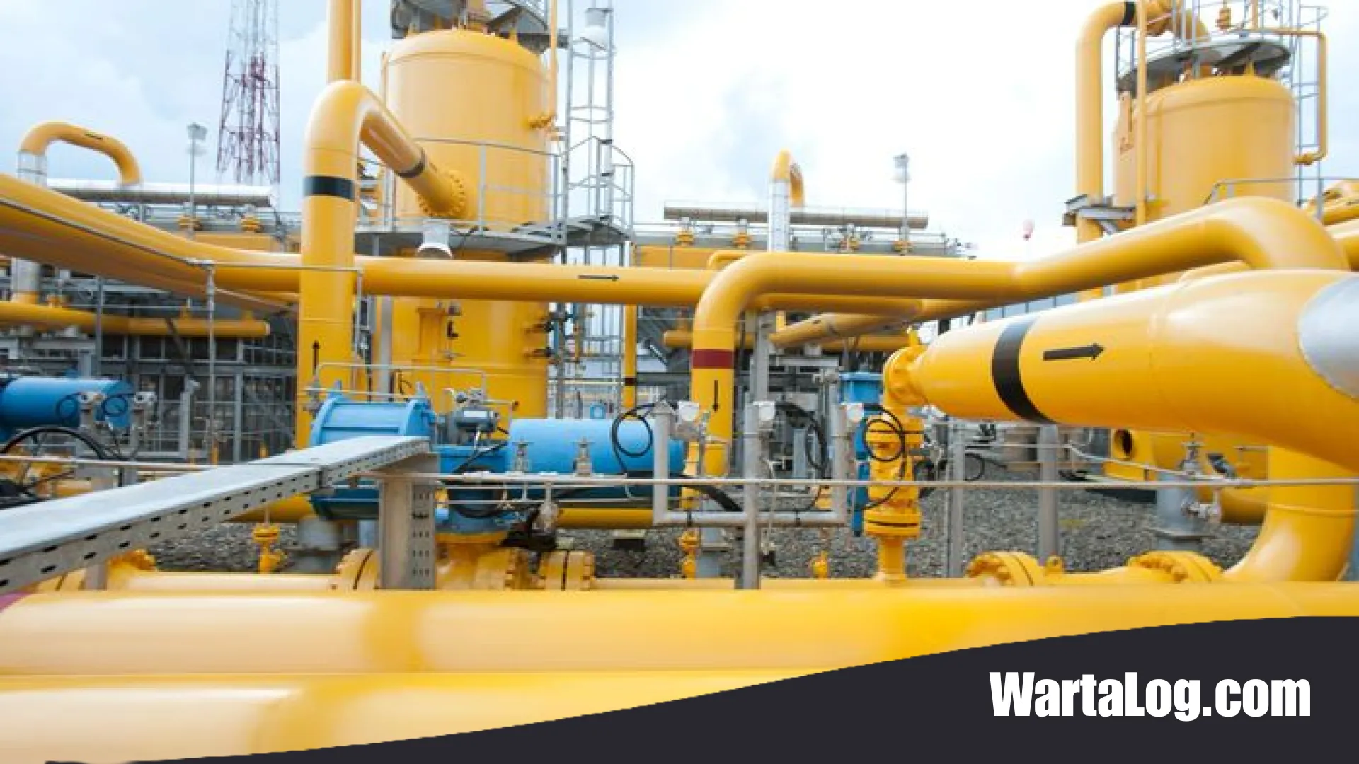 Revolusi Hijau dari Sumatera Selatan: PGN Siap Integrasikan Biomethane ke Jaringan Gas Nasional