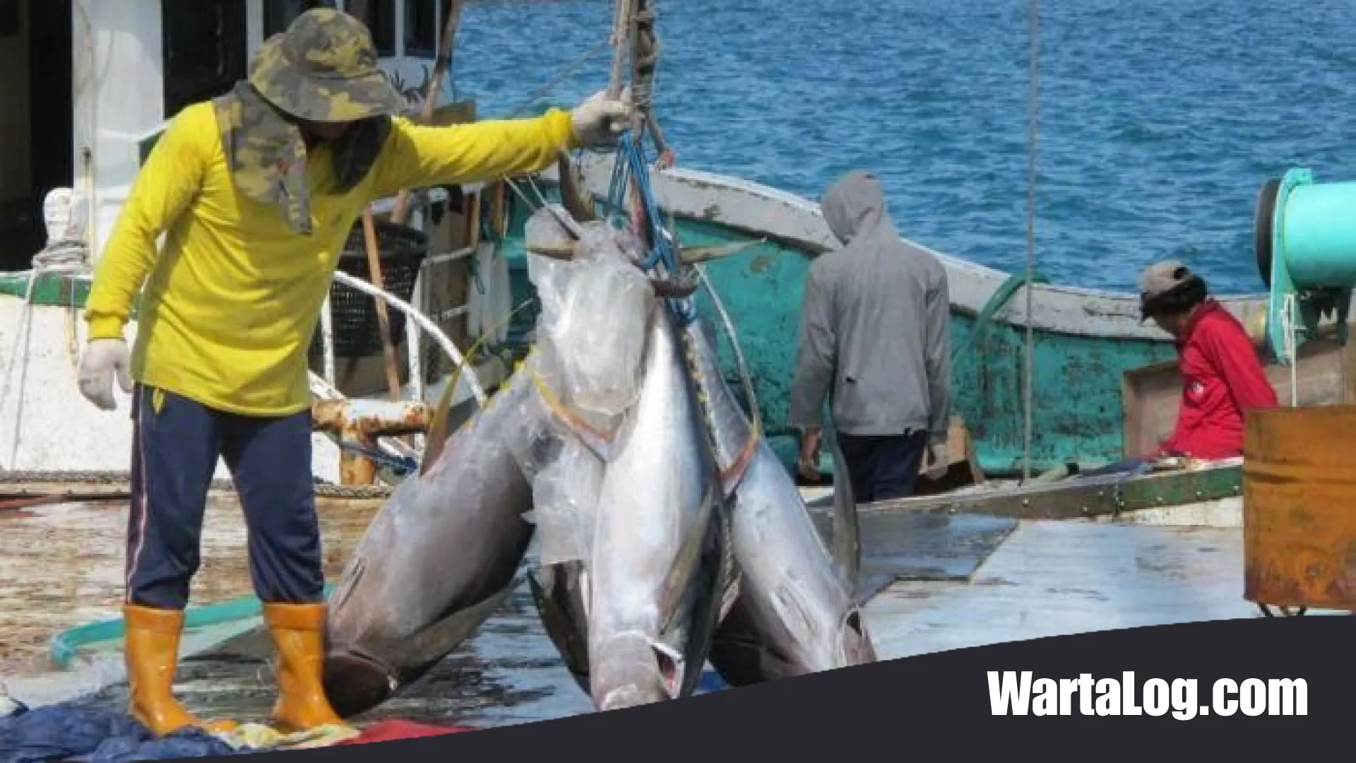 Diplomasi Samudra Berhasil, Kuota Tangkapan Tuna Sirip Biru Indonesia Melejit Jadi 1.670 Ton