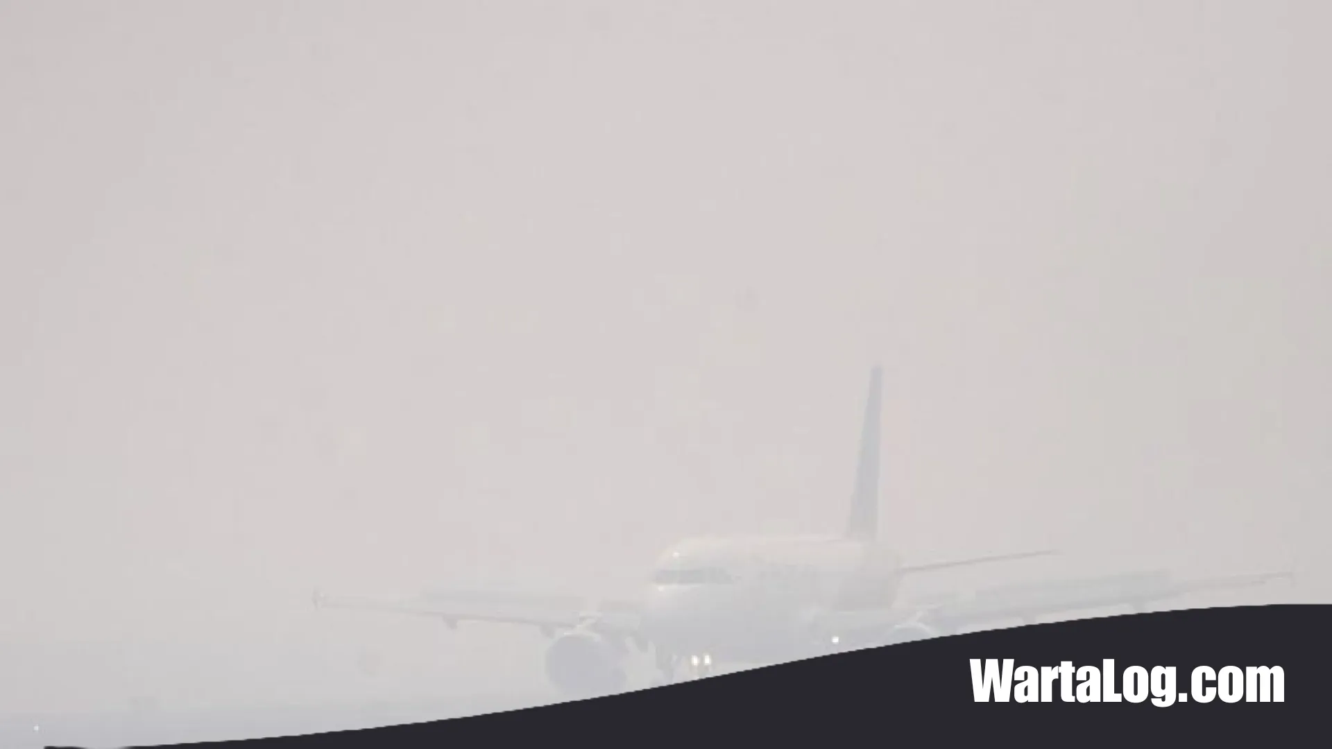 Langit Kelabu Lumpuhkan Transportasi Udara: 1.813 Penerbangan Terdampak Kabut Asap Karhutla
