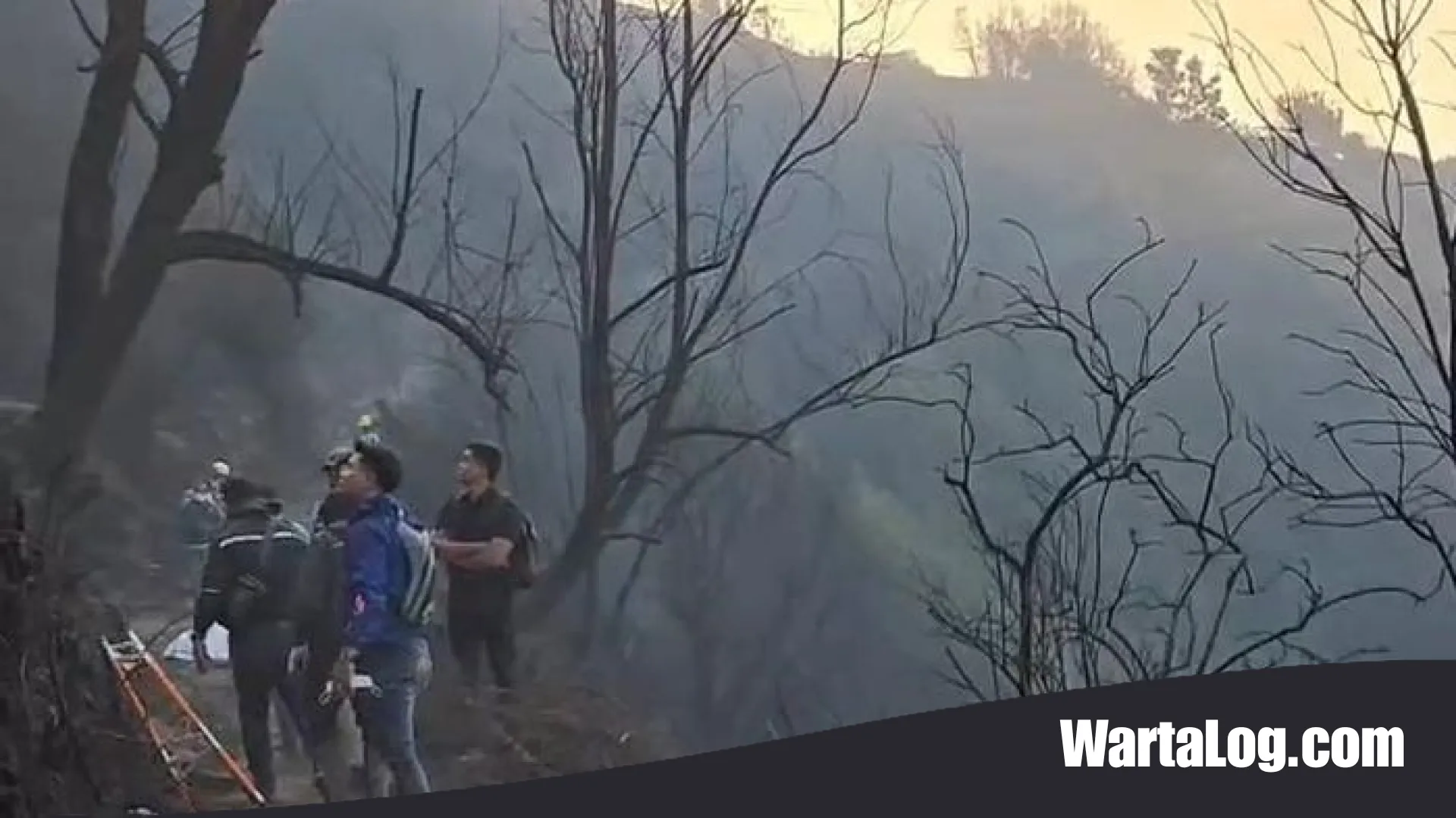 Tragedi di Lereng Bromo: Kronologi Gugurnya Empat Pejuang Karhutla dan Investigasi Mendalam Polda Jatim