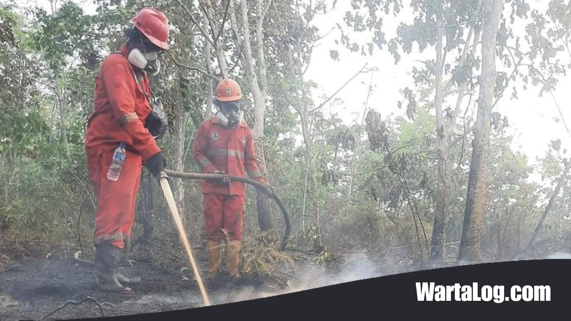 Pemerintah Gelontorkan Rp 1,23 Triliun Atasi Karhutla di 7 Provinsi, Fokus pada Kesehatan dan Pemulihan