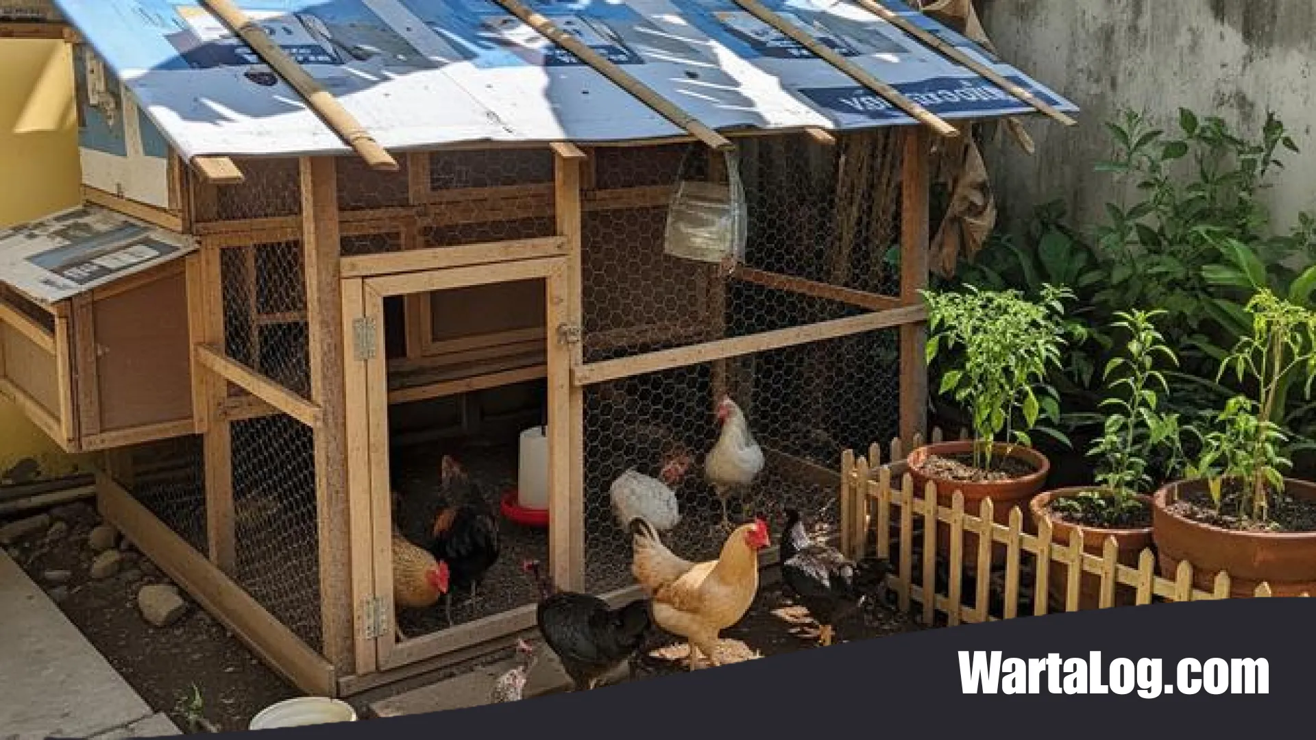 10 Material Bekas Berkualitas untuk Rangka Kandang Ayam: Solusi Hemat dan Ramah Lingkungan