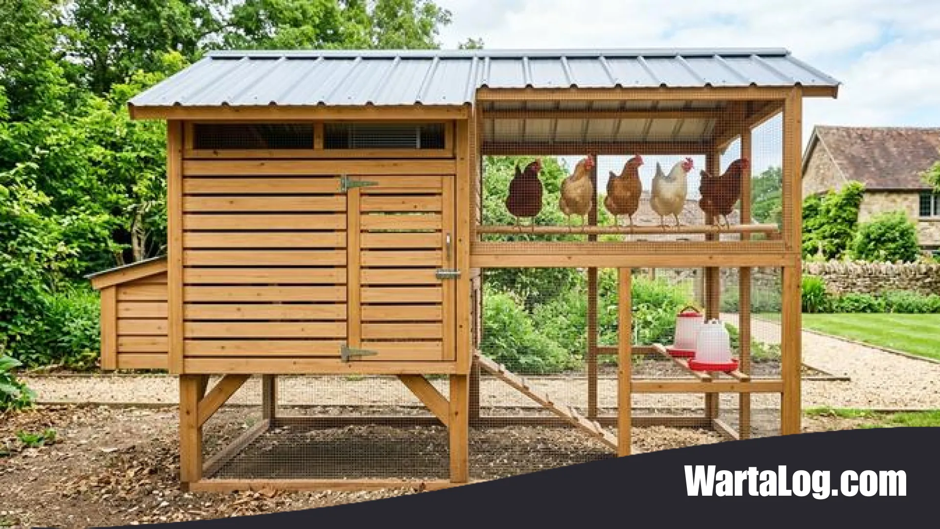 6 Inspirasi Desain Kandang Ayam dengan Tempat Bertengger Inovatif untuk Ternak yang Lebih Sehat