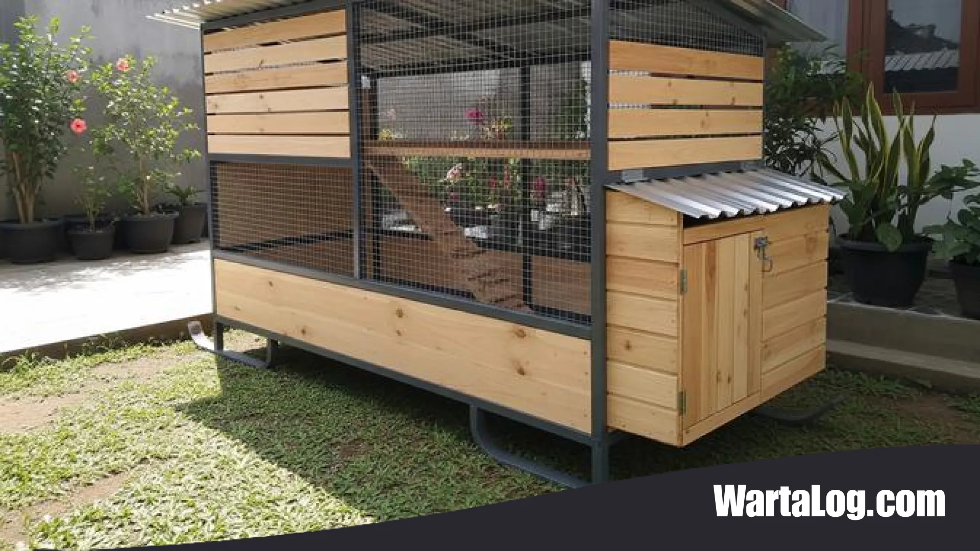 9 Inspirasi Desain Kandang Ayam Kombinasi Baja Ringan dan Kayu: Solusi Hunian Ternak Modern yang Kokoh