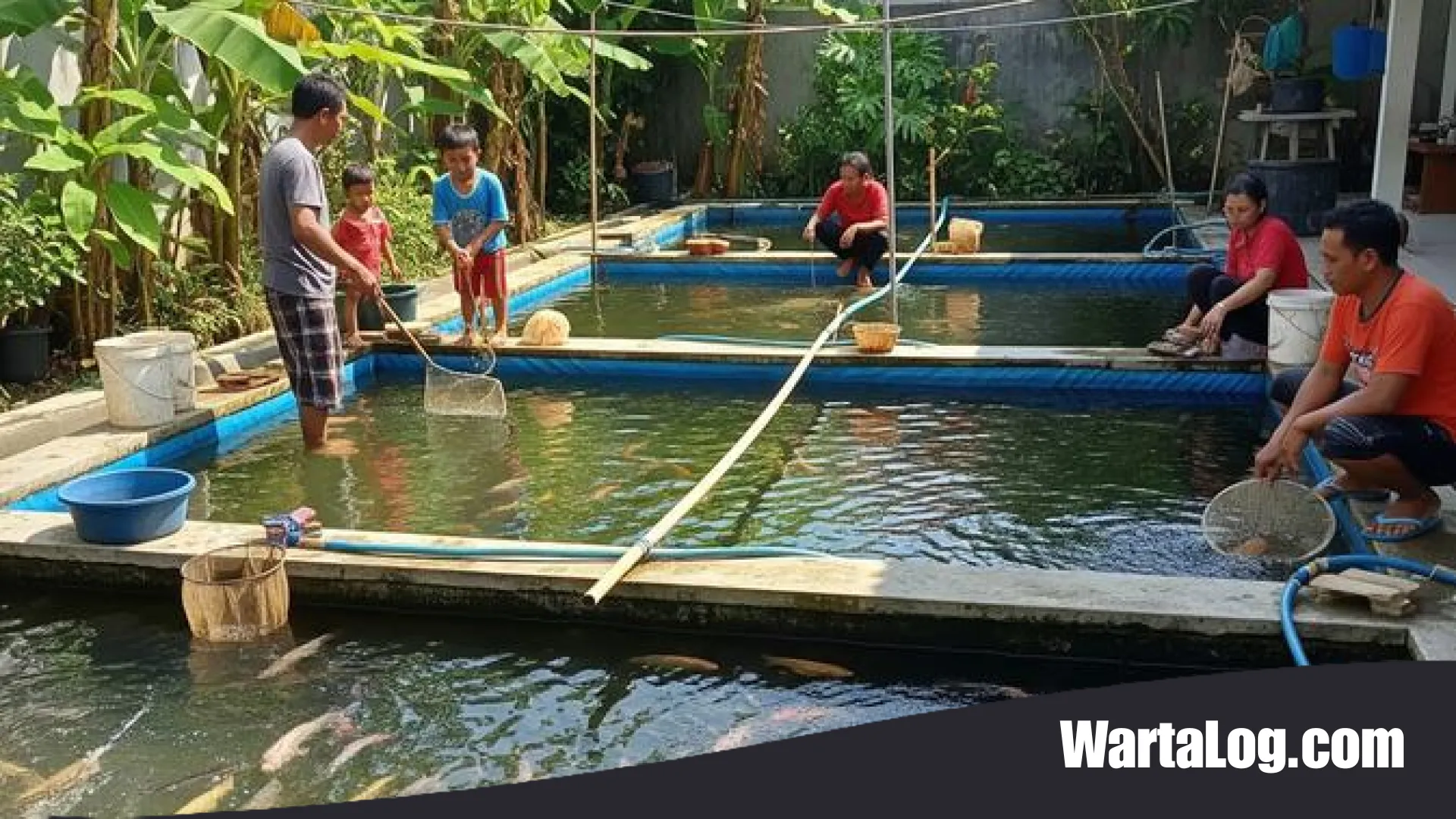 9 Strategi Jitu Ternak Ikan Cepat Balik Modal dalam 30 Hari: Panduan Eksklusif untuk Pemula