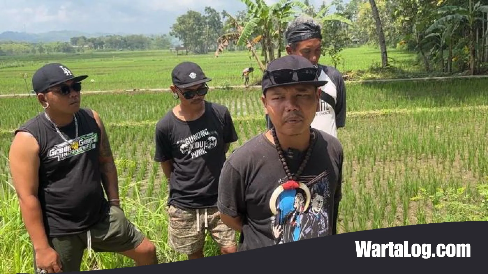 Aksi Nyata Petani Punk Gunungkidul: Memacu Regenerasi Lewat Pertanian Organik yang Mandiri