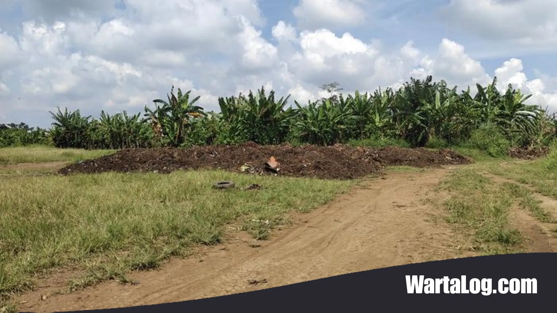 Atasi Krisis Organik, Pemkab Badung Sulap Aset Lahan Jadi Pusat Penampungan Bahan Baku Kompos