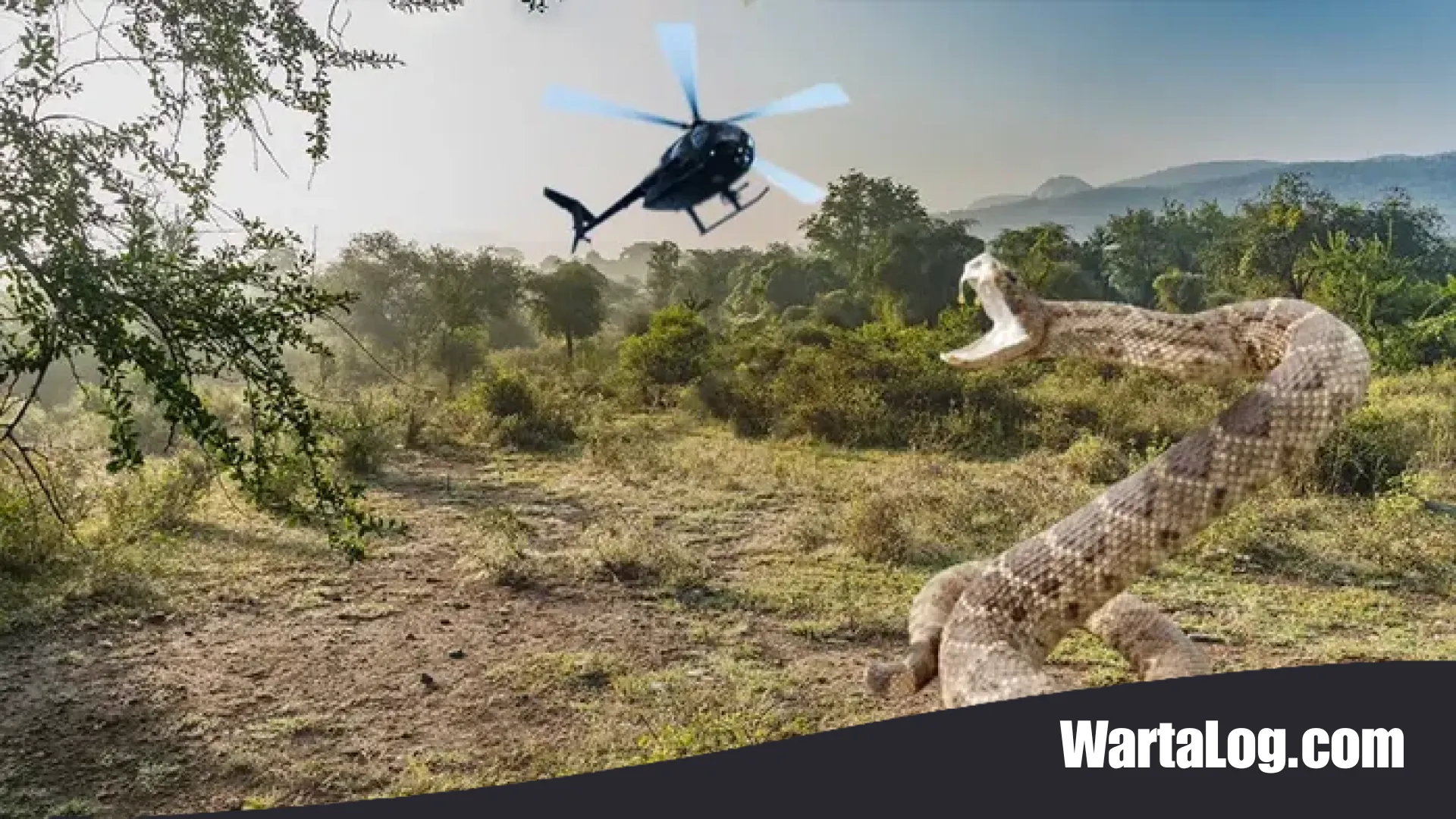 Bukan King Cobra, Inilah Sosok Monster Berbisa Purba yang Pernah Menguasai Daratan