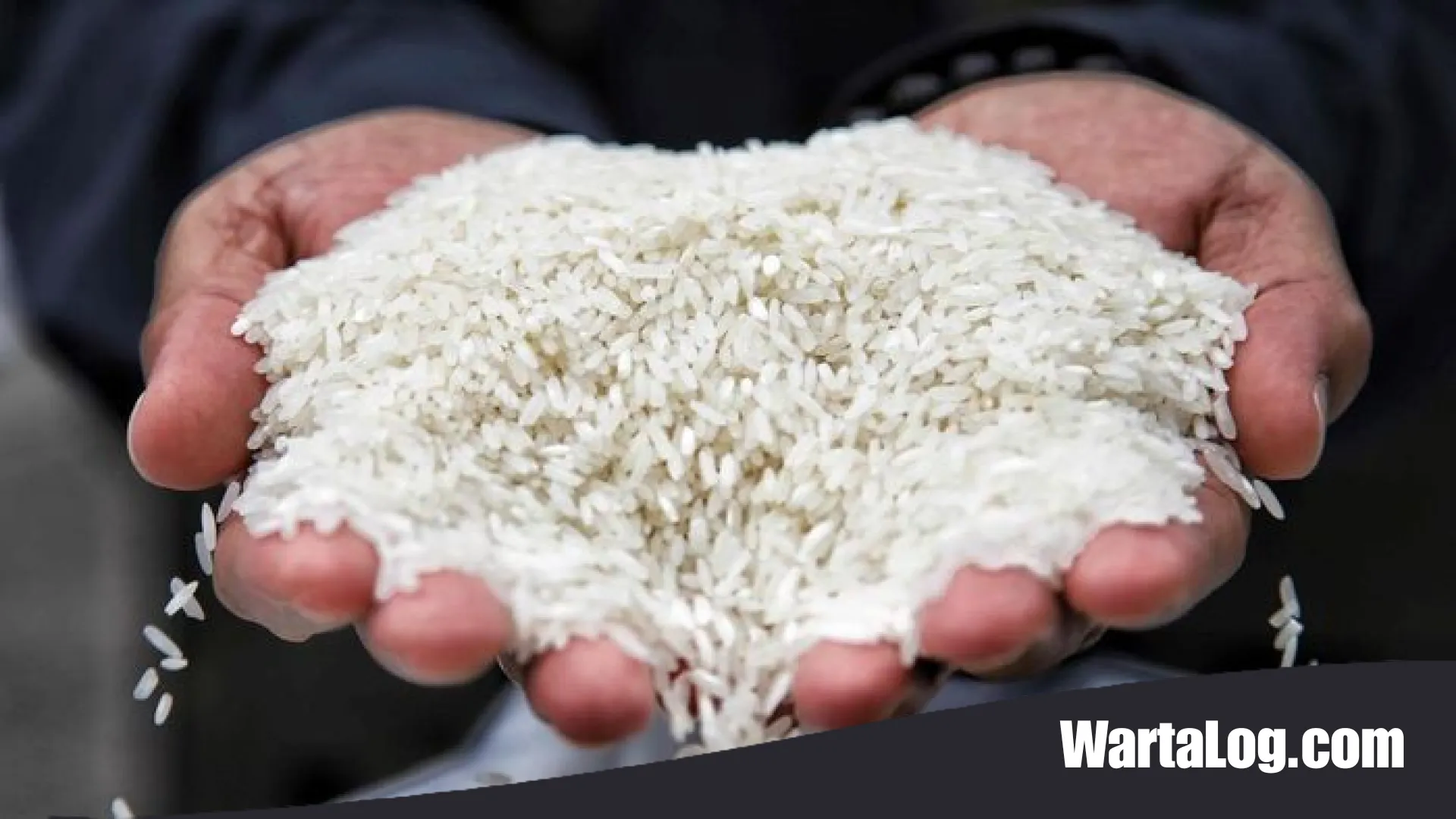 Indonesia Mandiri Pangan: 7 Komoditas Pokok Ini Resmi Berhenti Impor