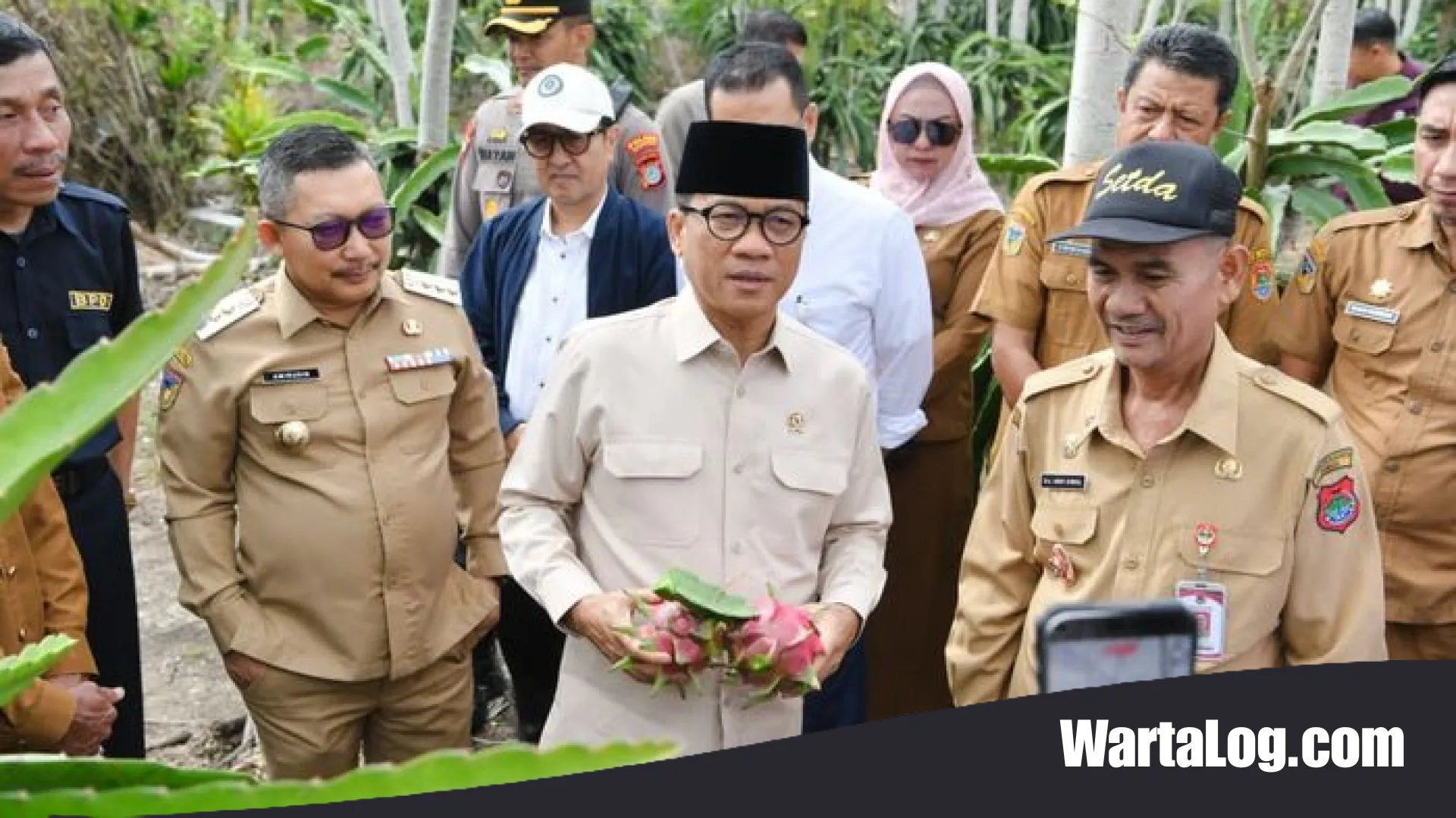 Inovasi Desa Tematik: Mendes Yandri Susanto Pacu Potensi Buah Naga dan Benahi Pendidikan di Luwuk Utara
