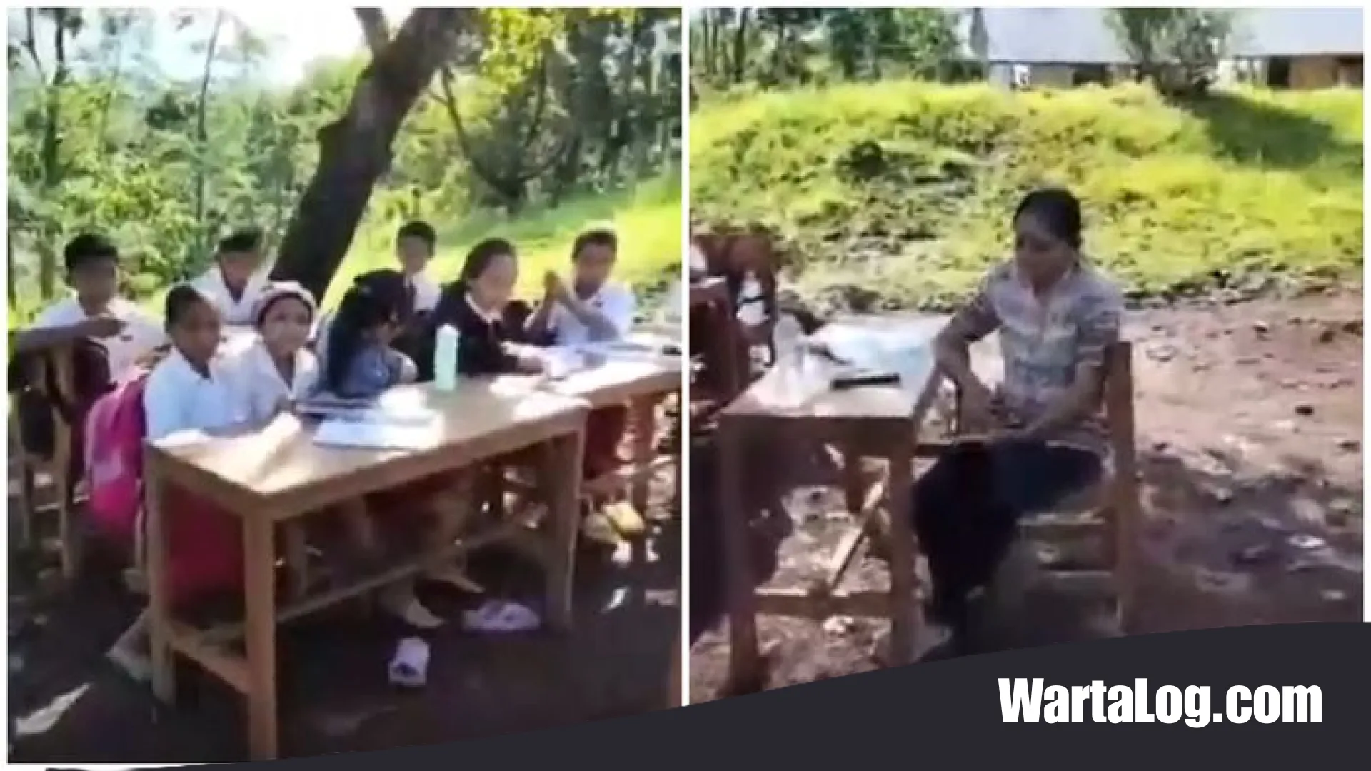Ironi Pendidikan di NTT: 8 Tahun Siswa SDN Tando Terpaksa Belajar di Bawah Pohon