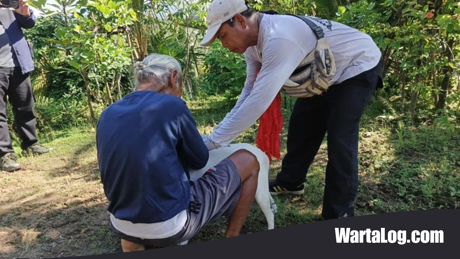 Jembrana Siaga Satu Rabies: Tekan 500 Kasus Gigitan per Bulan Lewat Vaksinasi Massal
