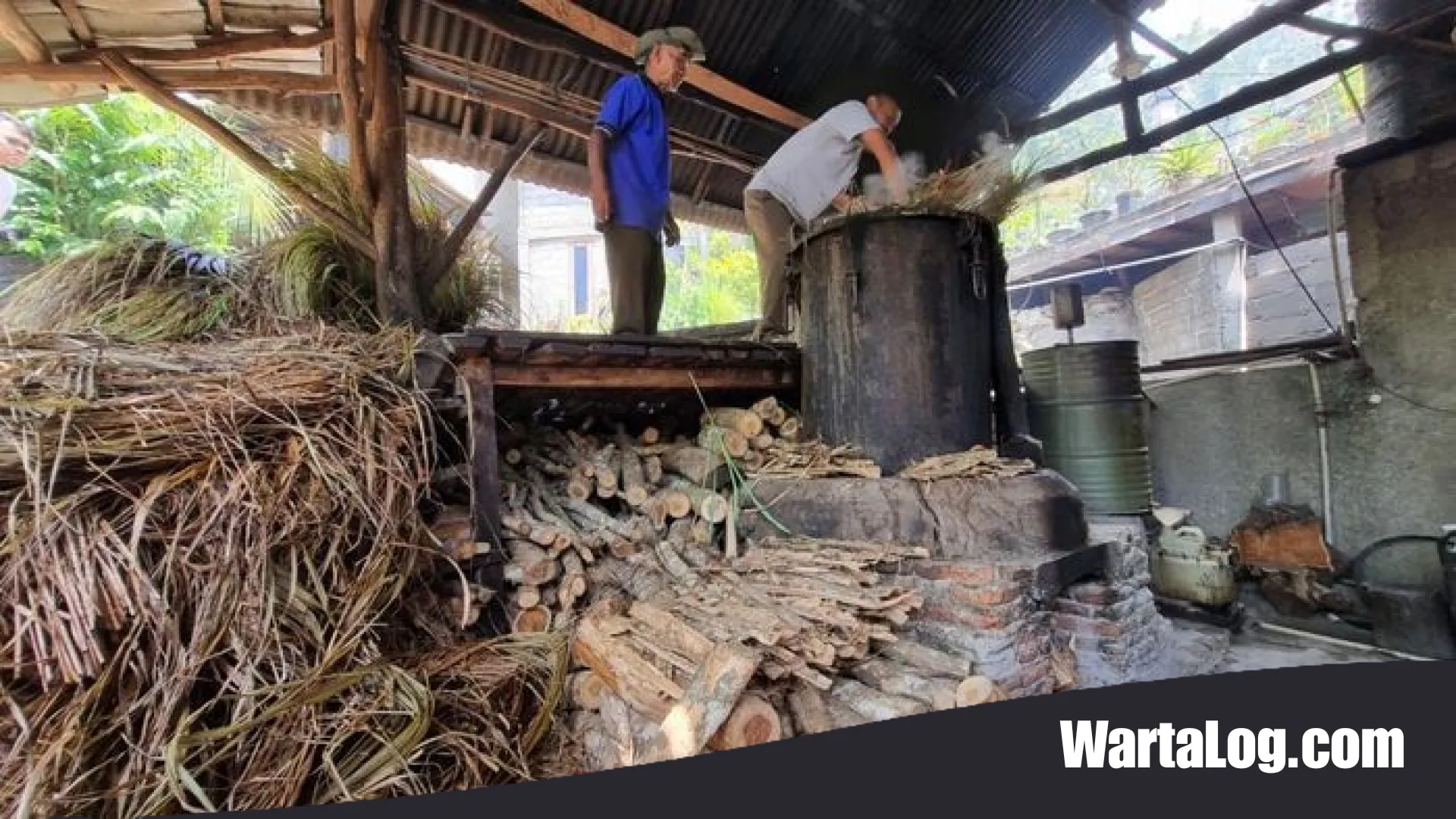 Lahan Kritis Jadi Emas Hijau, Inovasi Warga Dlingo Bantul Produksi Minyak Atsiri Berkualitas Dunia