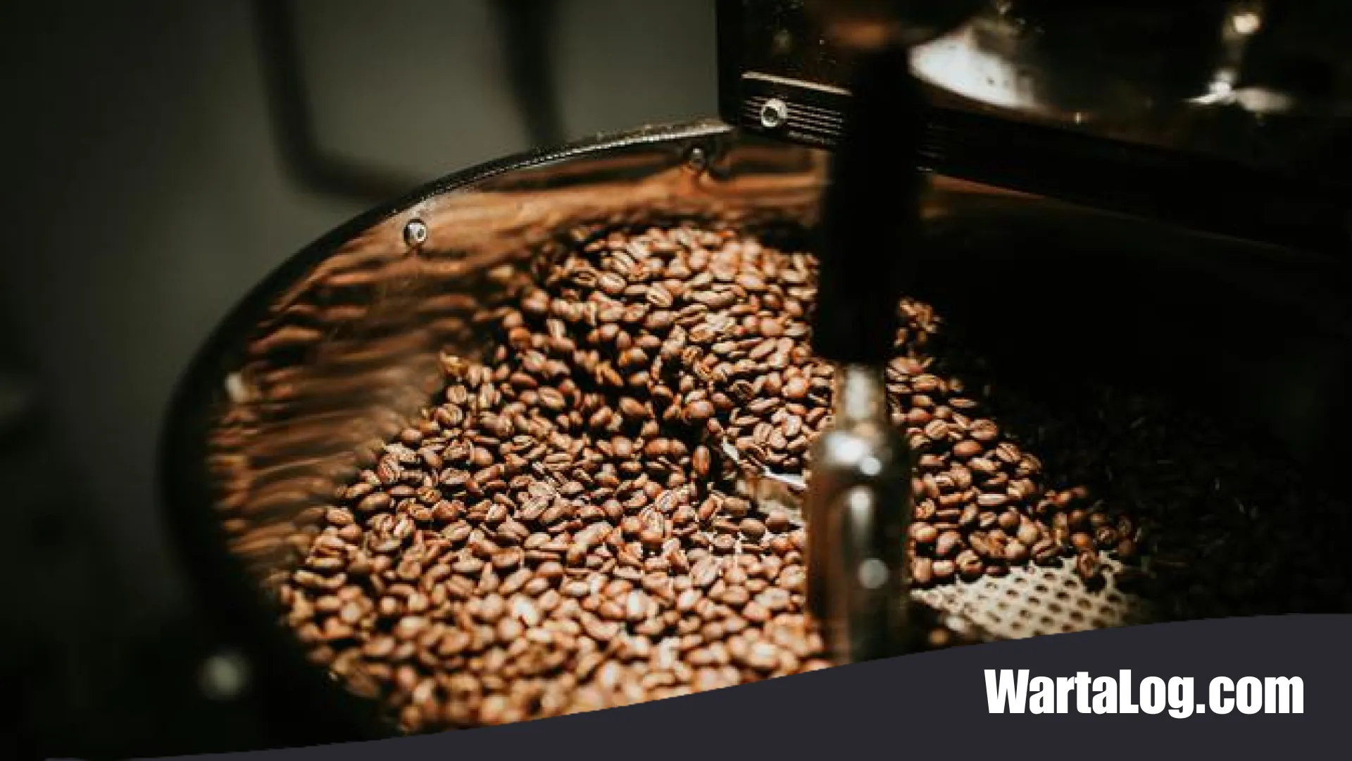 Robusta vs Arabika: Mana yang Paling Pas untuk Americano? Ini Penjelasan Lengkap Barista