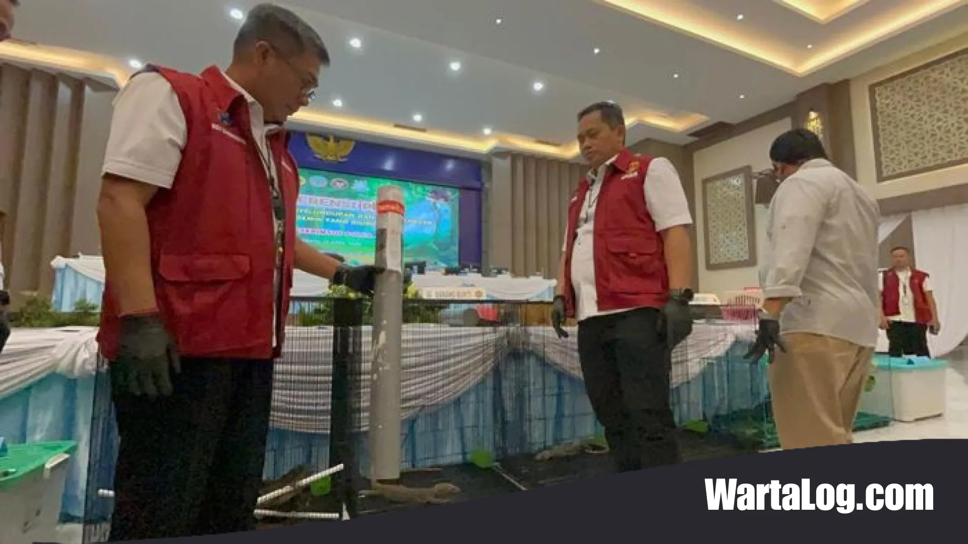 Skandal Penyelundupan Komodo: Dari Hutan NTT ke Pasar Gelap via Pipa Paralon