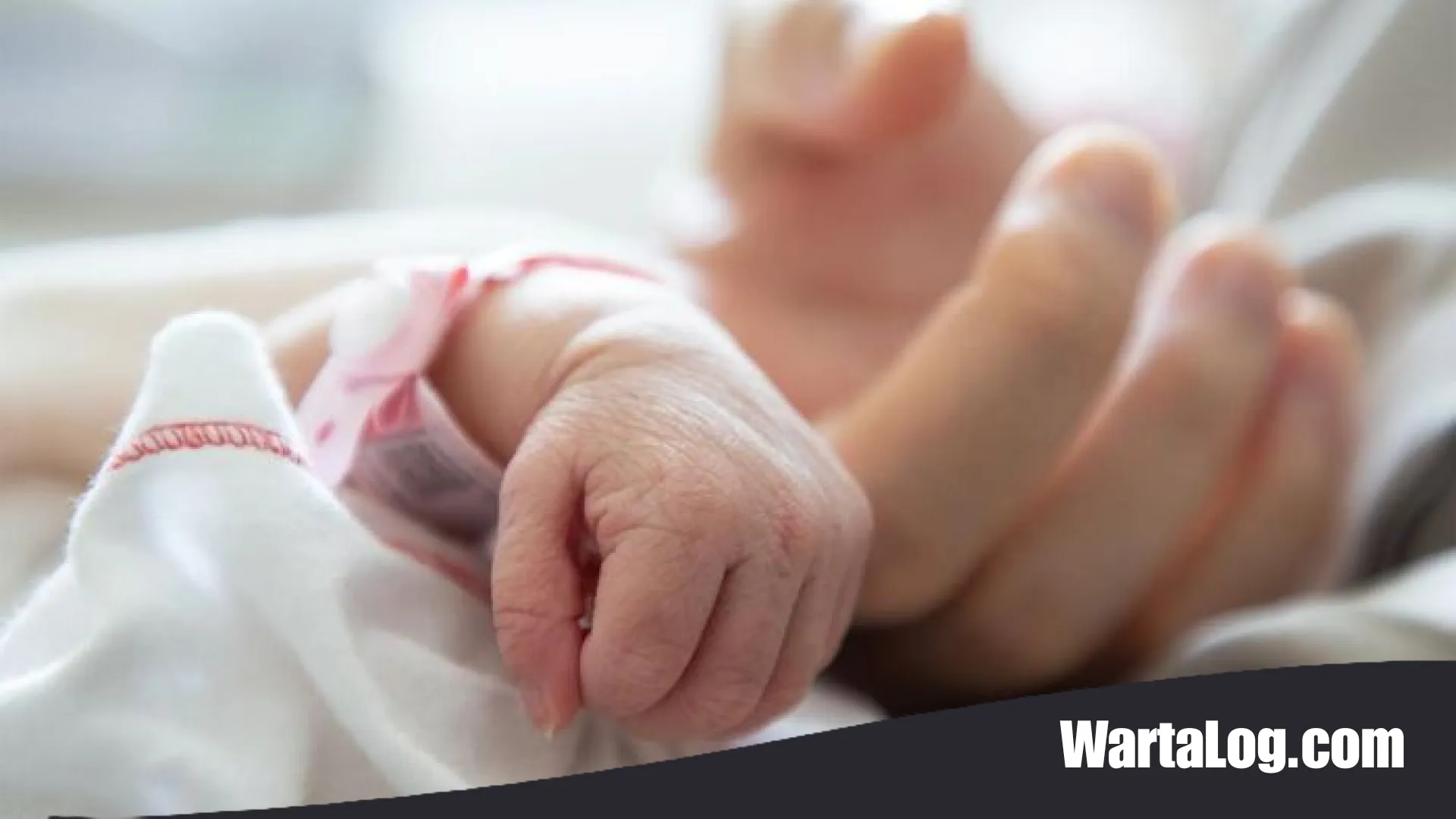 Skenario Palsu Penemuan Bayi di Madina Terbongkar, Ternyata Hasil Hubungan Gelap Sejoli