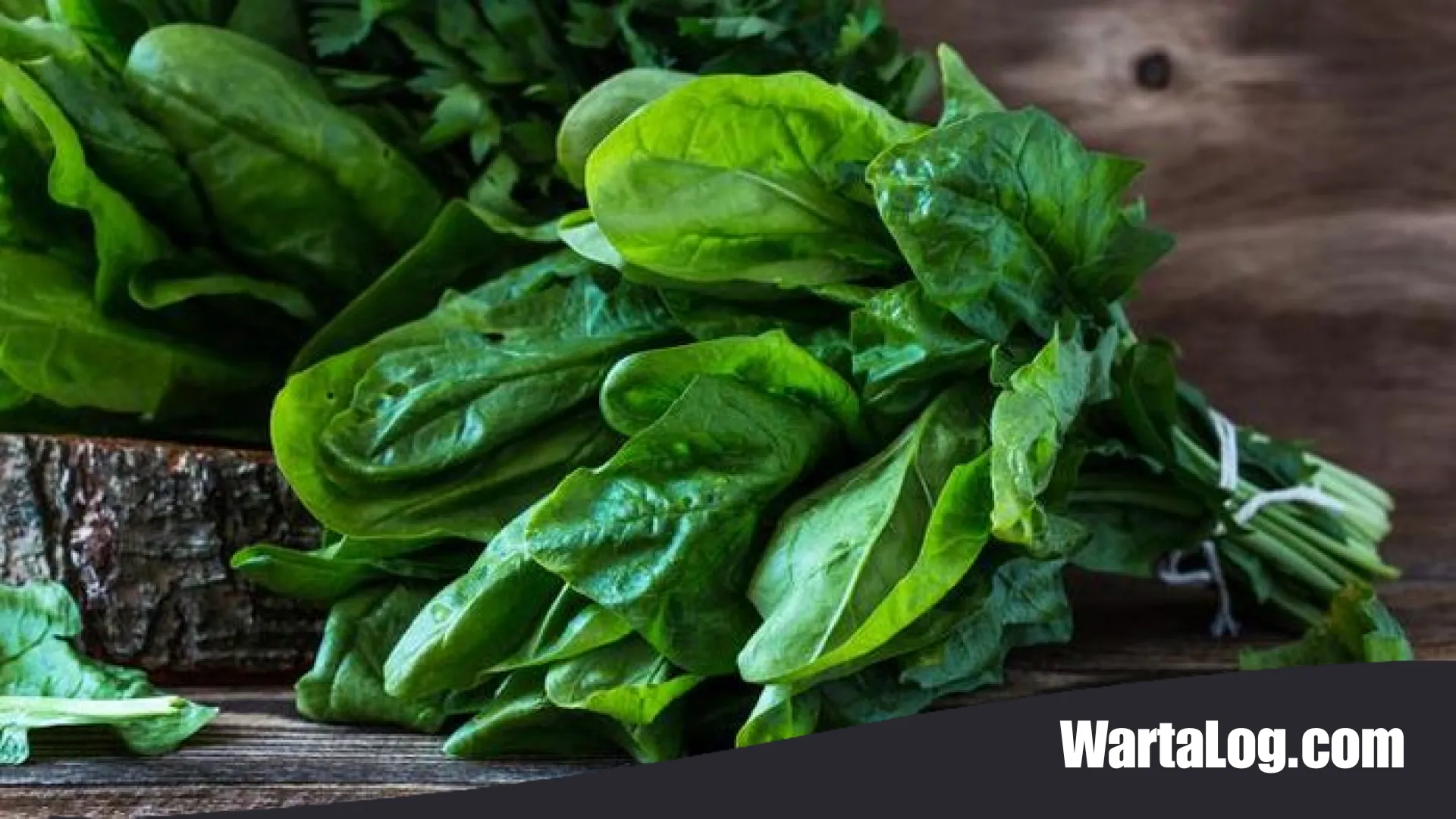 Strategi Makan Bayam yang Benar: 5 Kombinasi Makanan untuk Penyerapan Nutrisi Maksimal