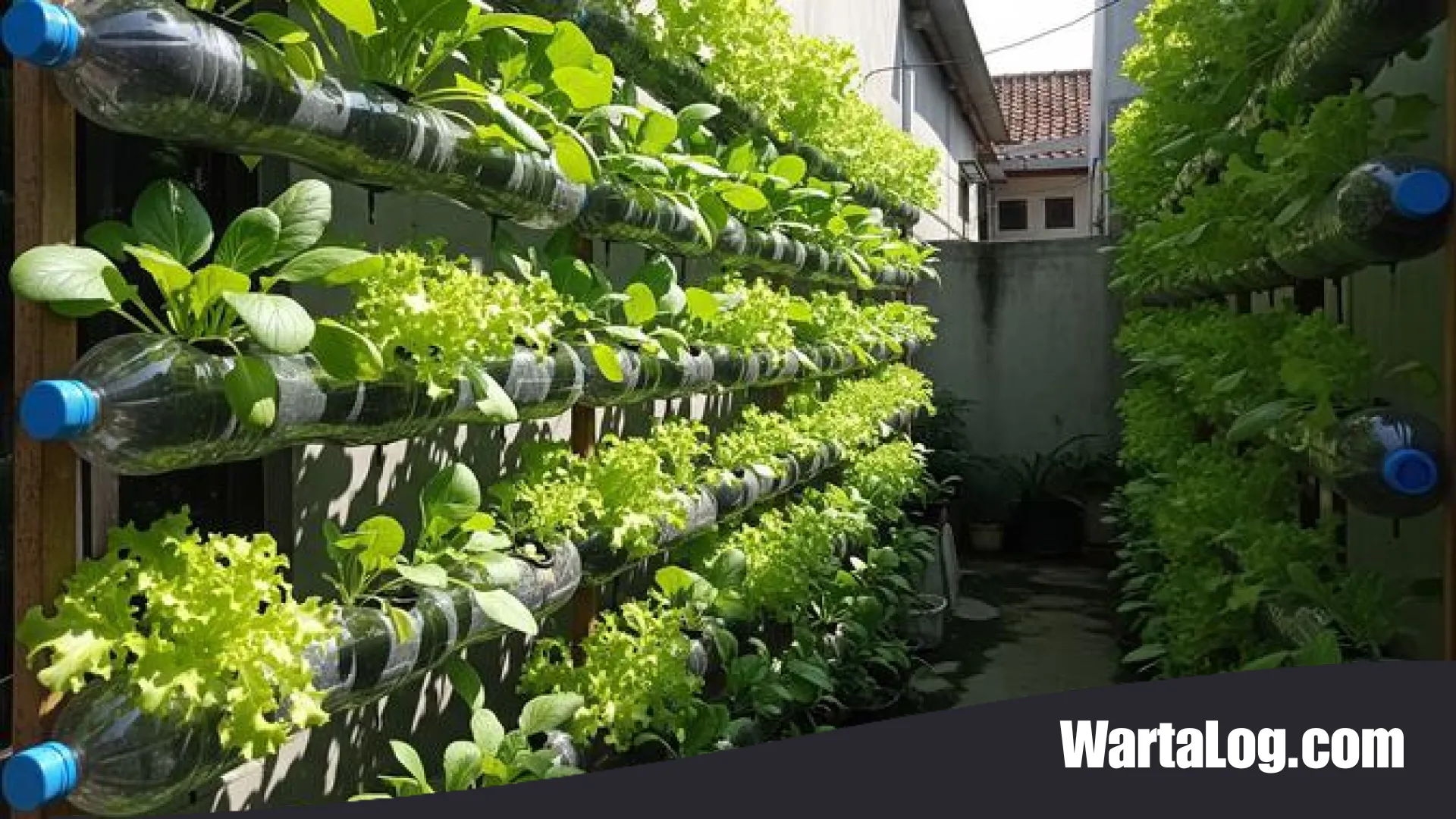Sulap Barang Bekas Jadi Kebun Produktif: 9 Material Hidroponik Ekonomis yang Wajib Anda Coba