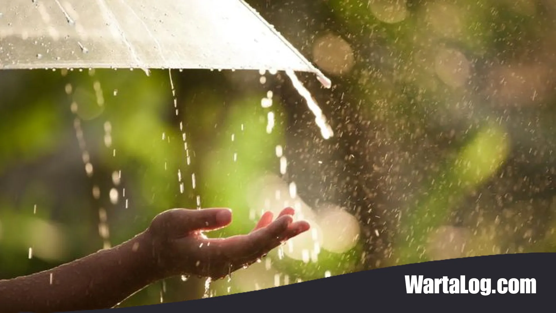 Waspada Cuaca Ekstrem Jateng Hari Ini: BMKG Ingatkan Potensi Hujan Lebat dari Slawi hingga Batang